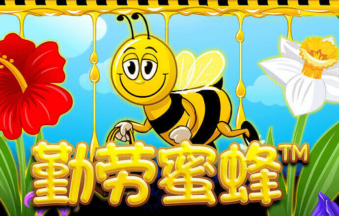 大发彩票app官网登录